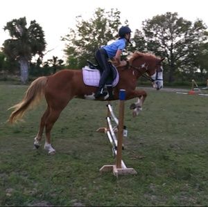 Meet your Posher, Lindsey